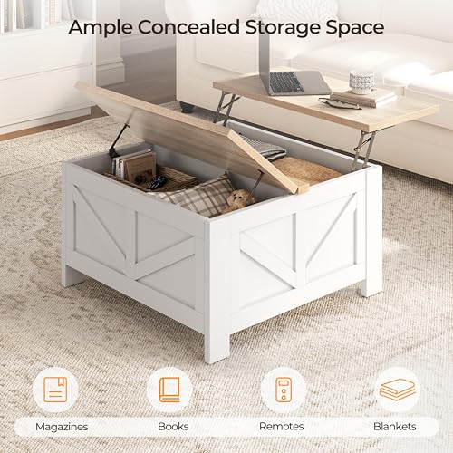 Lift Top Coffee Table with Storage, Black & Gray F341