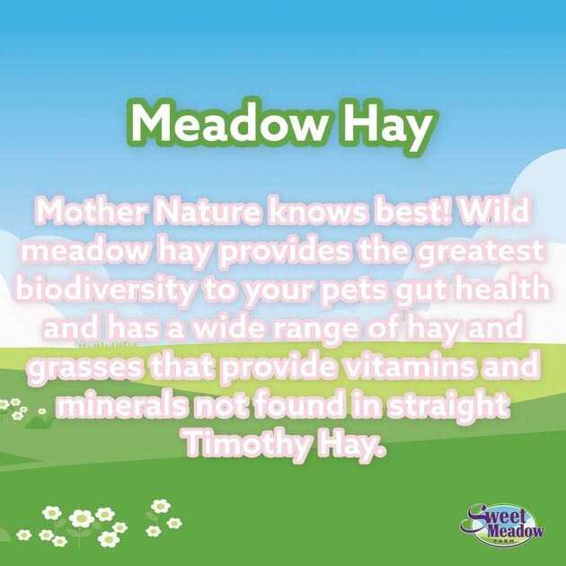 20oz Hay Pet Supplies S880662