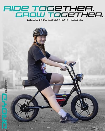 Electric Bike for Kids 13+, 250W, 24V Lithium-Ion Battery, 16" Tires V864