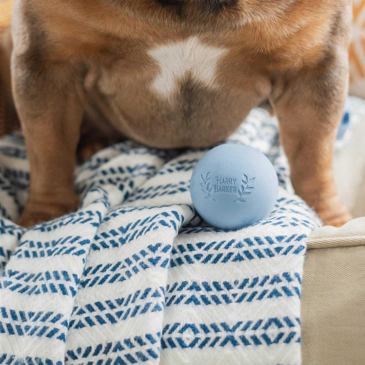 Rubber Balls and Rubber Chew Stick L360482