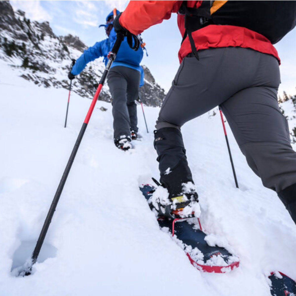 Carbon Backcountry Poles 100-120cm Z104