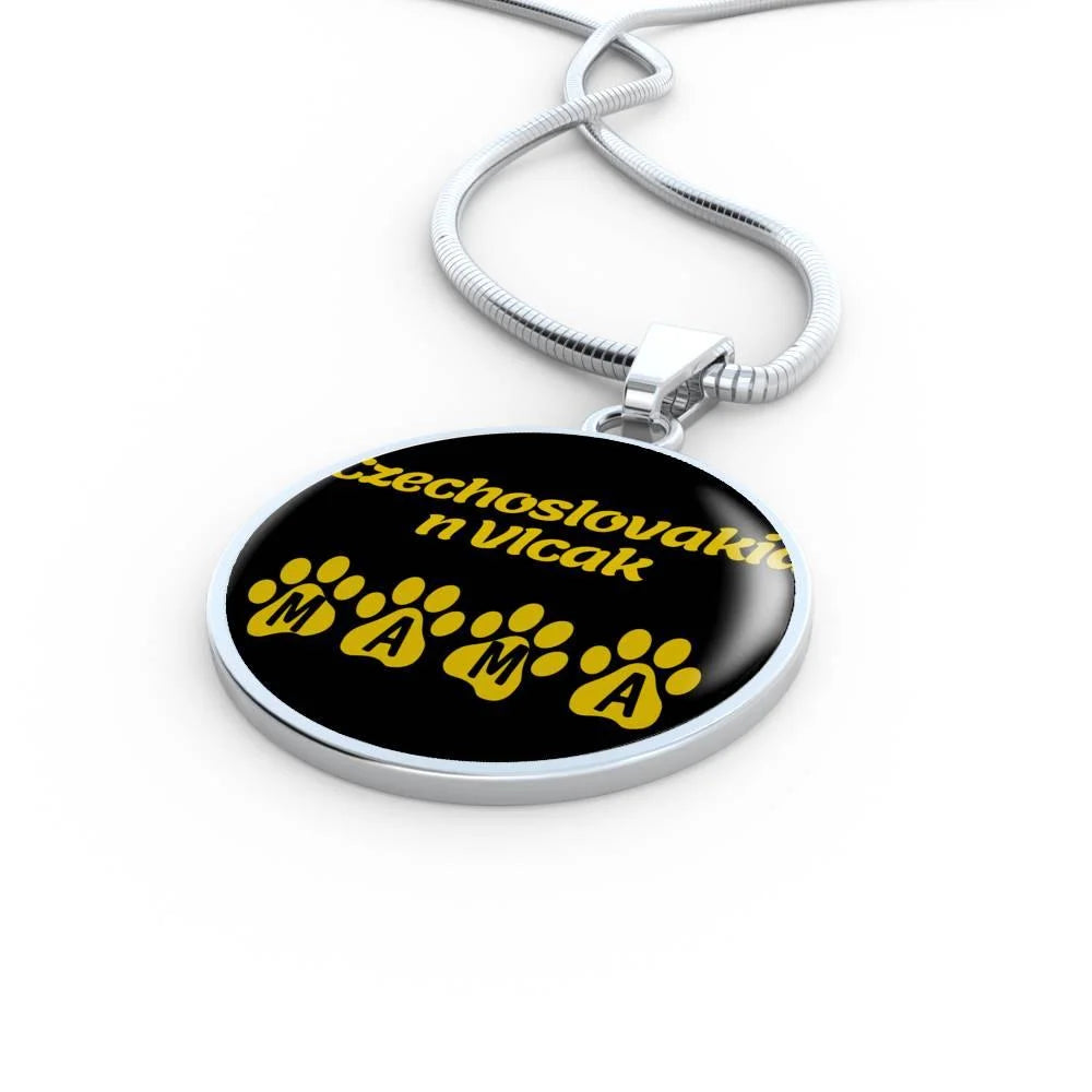 Stainless Steel or 18k Gold Necklace V51791