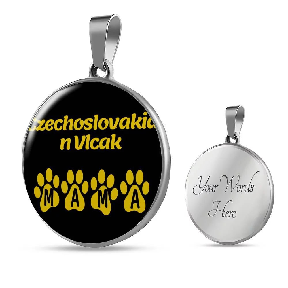 Stainless Steel or 18k Gold Necklace V51791