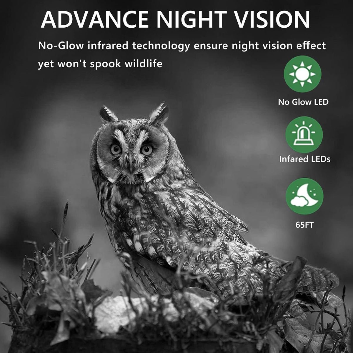 1520P 36MP Waterproof Game Camera with Night Vision Motion Activated, Pack of 2 G190