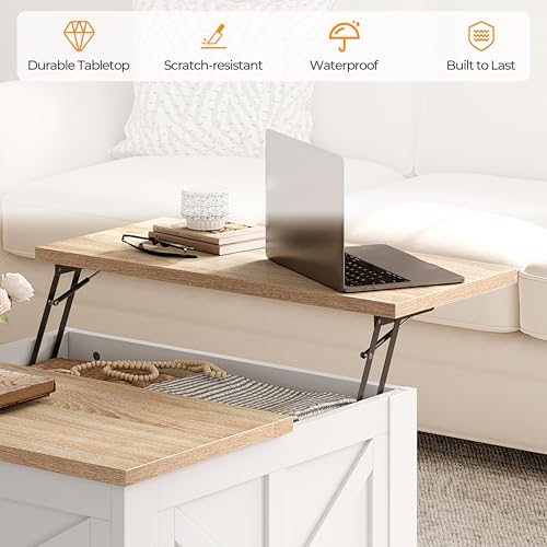 Lift Top Coffee Table with Storage, Black & Gray F341