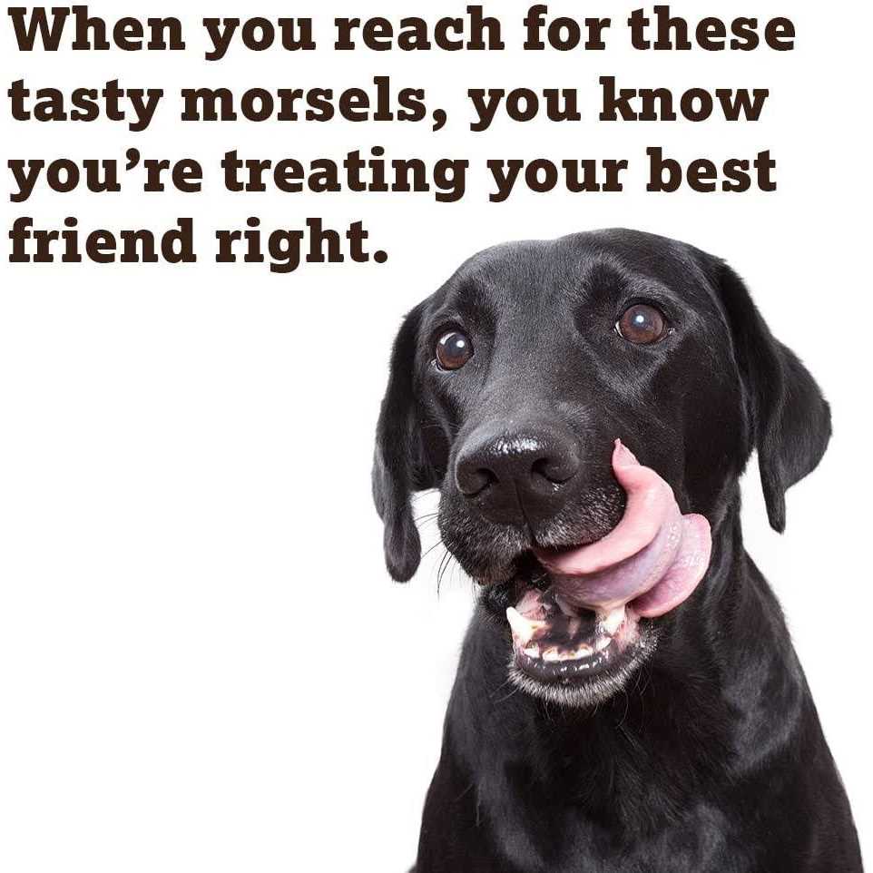 Baked Dog Treats D450242