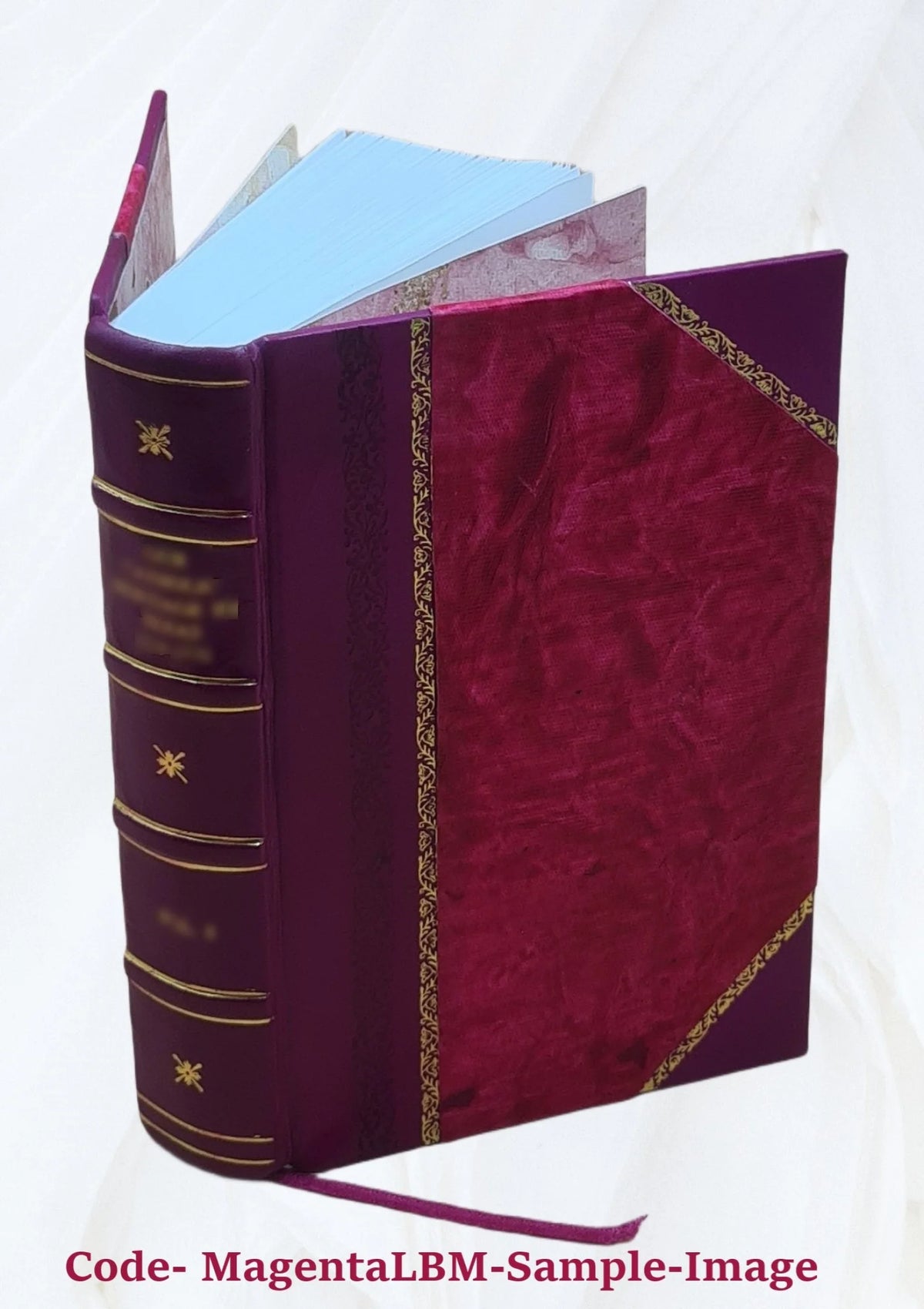 Thesaurus veterum dyptichorum consularium et ecclesiasticorum E709823