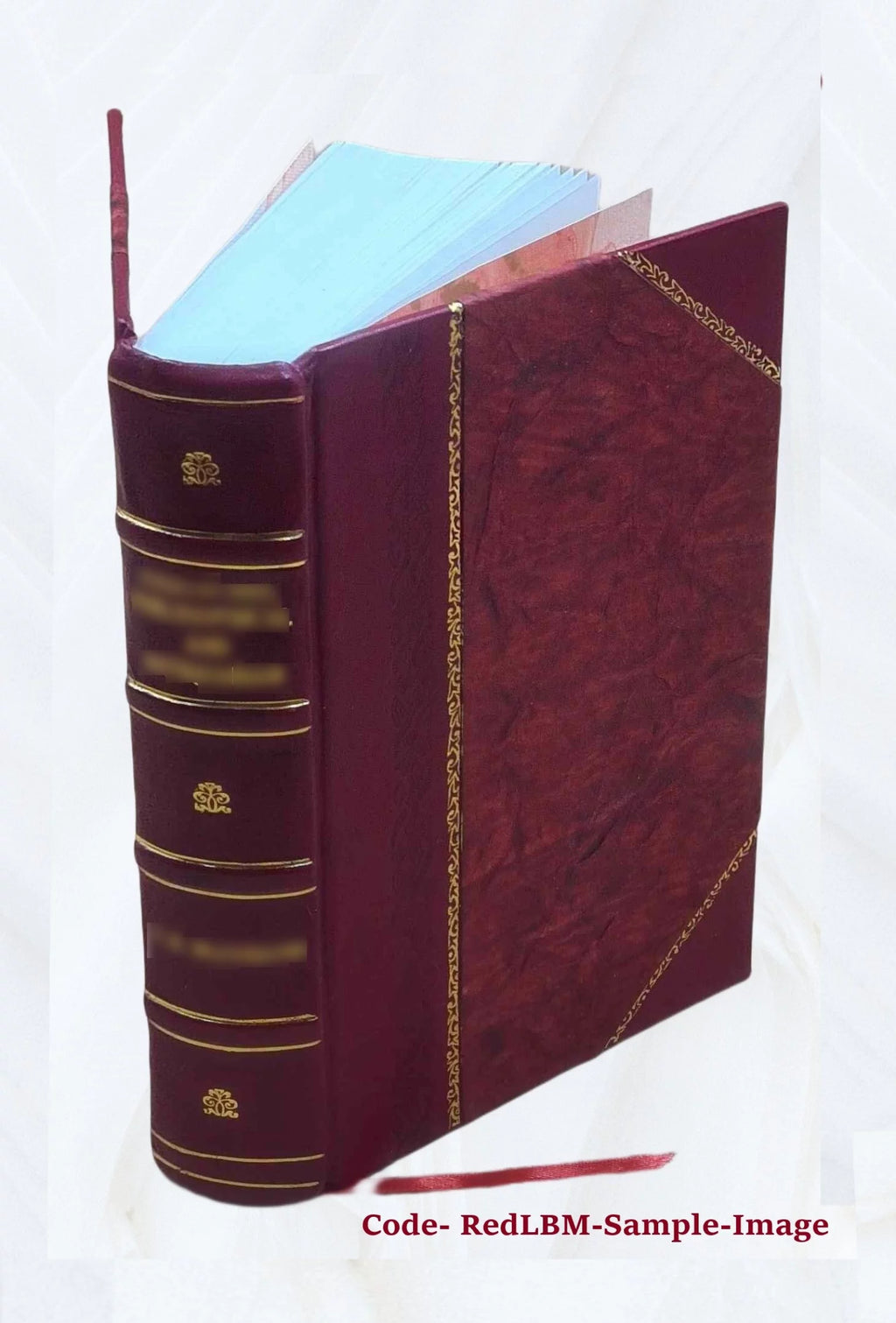 Thesaurus veterum dyptichorum consularium et ecclesiasticorum E709823