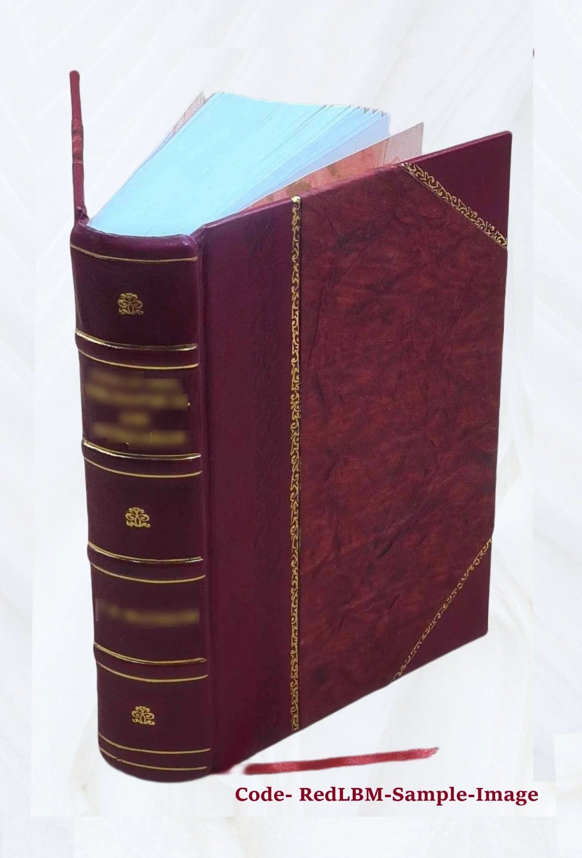 Thesaurus veterum dyptichorum consularium et ecclesiasticorum E709823