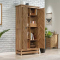 2 Door Storage Cabinet T427