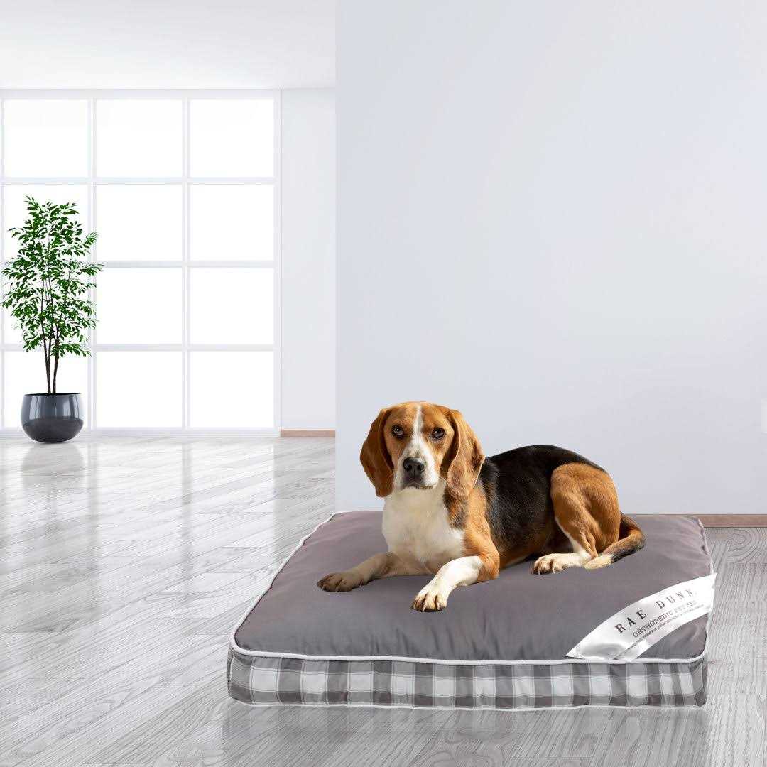 Orthopedic Pet Bed O97493