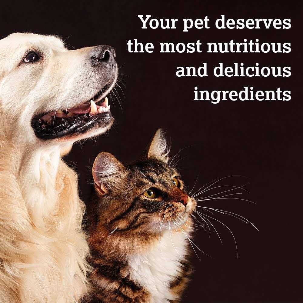 Baked Dog Treats D450242