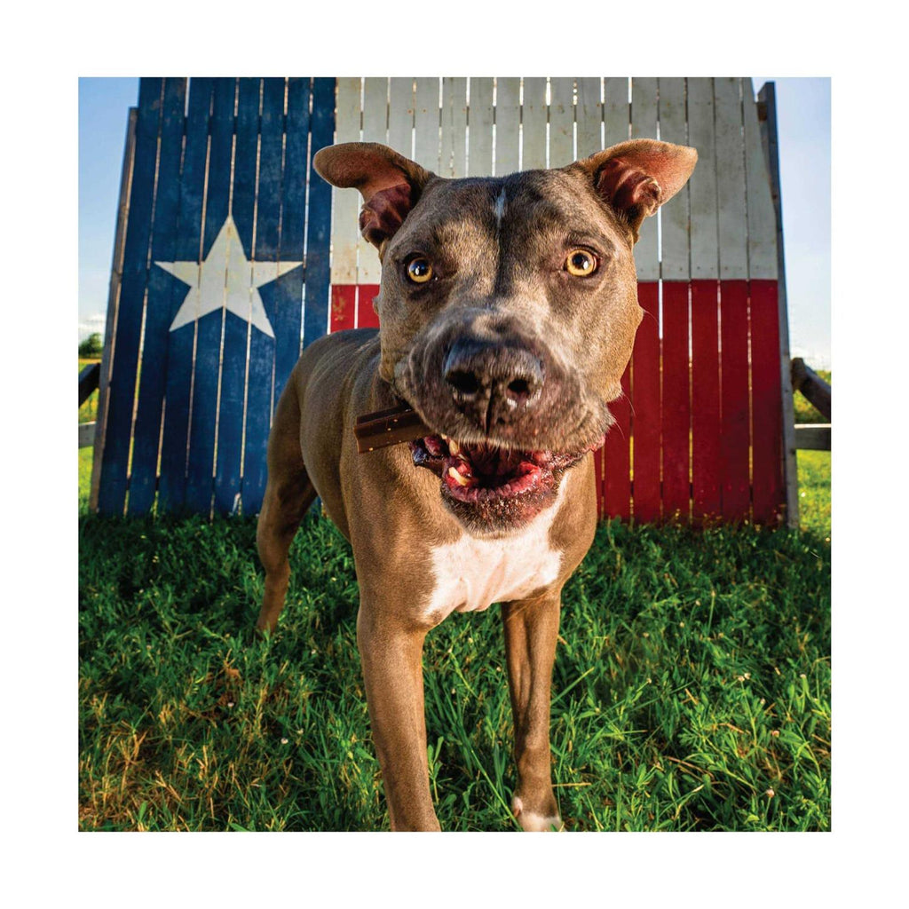 Chicken Flavor Grain-Free Dog Treats U41214