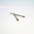 Stainless Steel Deck Screws 1750 Piece O507