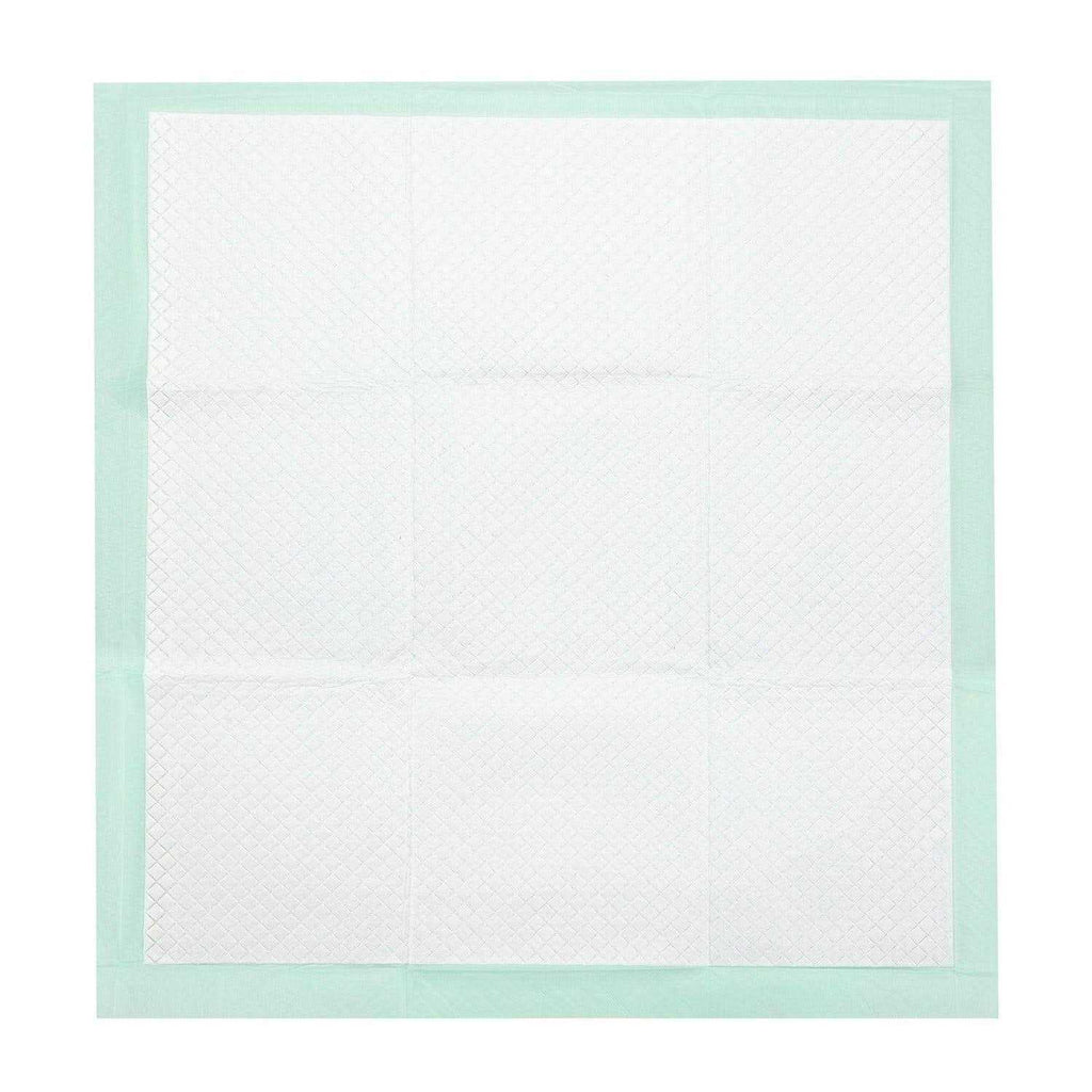 Super Absorbent Dog Training Pads I4250