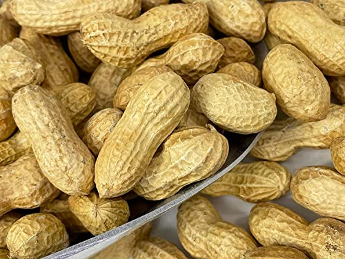 Raw Peanuts in Shell 5 lbs X34424