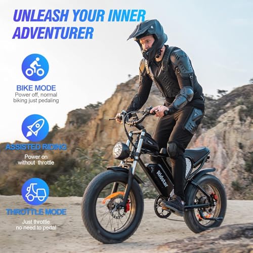 20" Fat Tire Electric Bike 1000W 48V 20AH E58665