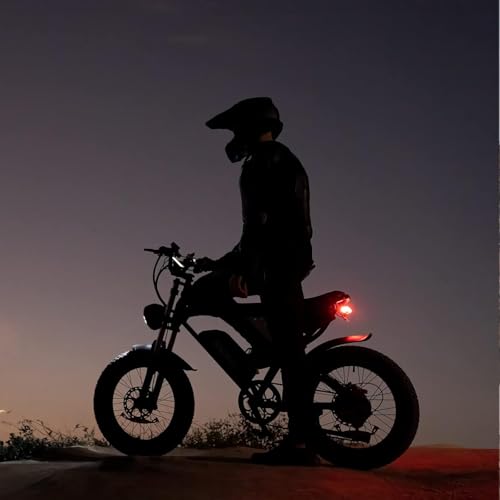 20" Fat Tire Electric Bike 1000W 48V 20AH E58665