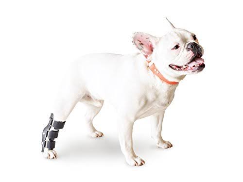 Pet Splint for Dogs Rear Leg H67824
