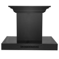 30 in. Wall Mount Range Hood in Black Stainless Steel R124
