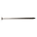 304SS Common Nail I3120