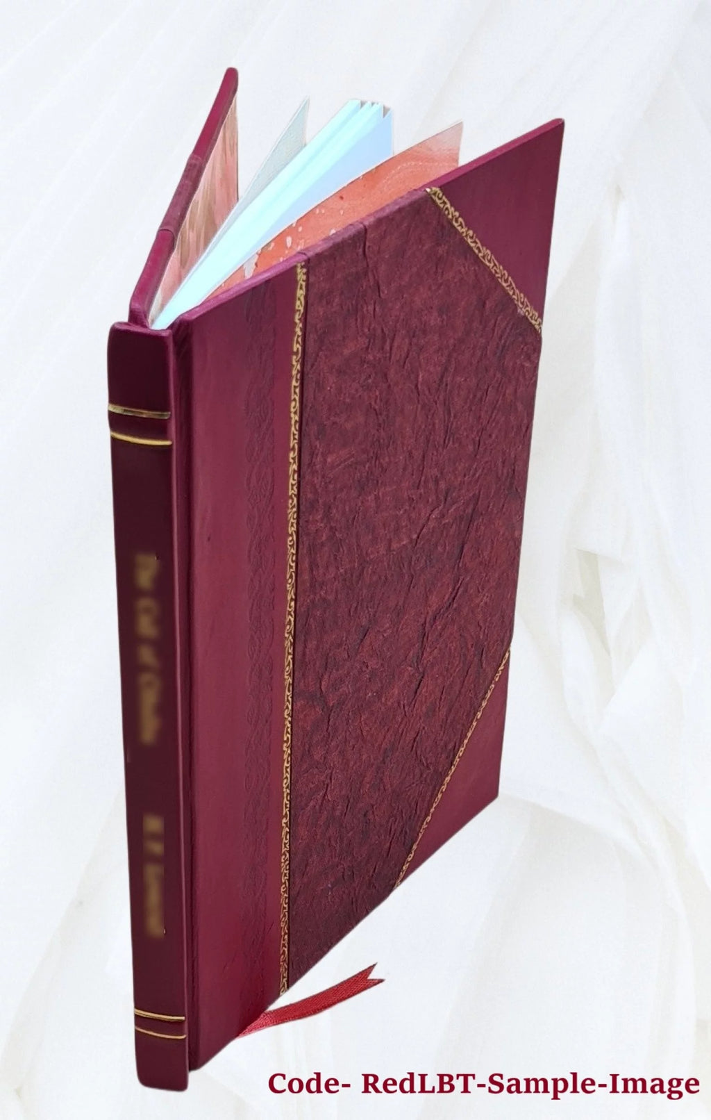 Snake River and lower Salmon River Idaho Leather Bound N720444