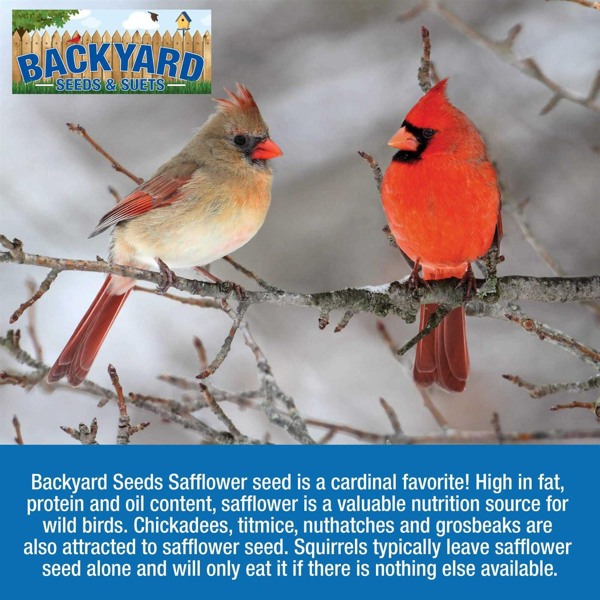 Safflower Bird Seed Z7523