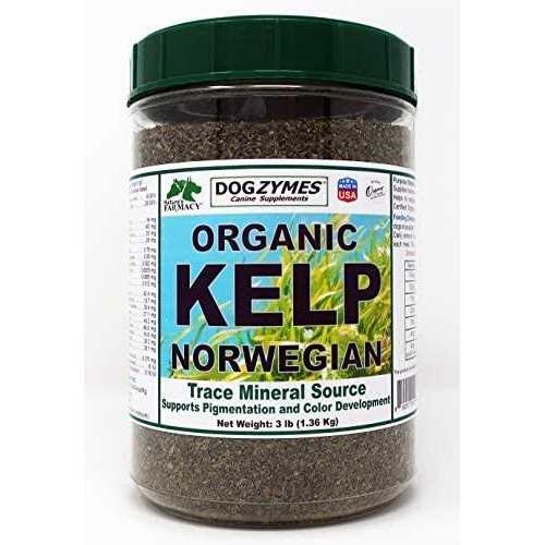 Organic Norwegian Kelp with Organic Garlic B917