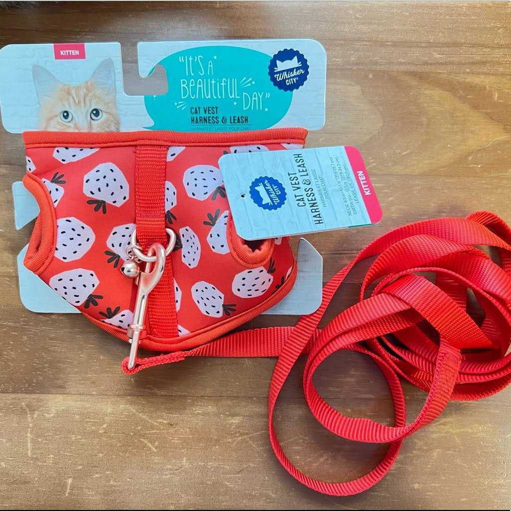 Cat Leash and Harness Combo V754