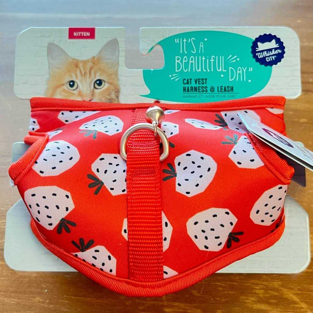 Cat Leash and Harness Combo V754