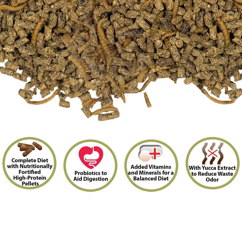 Complete Hedgehog Food Y378