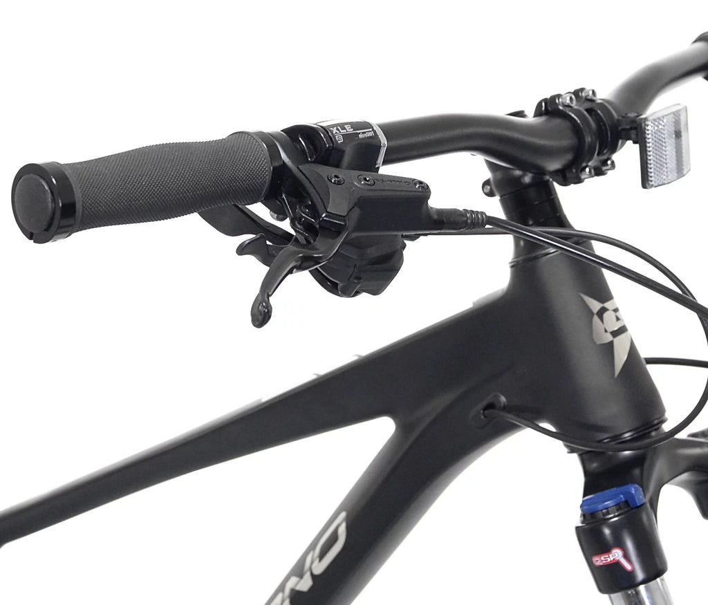 Black 29-inch Mountain Bike Z436
