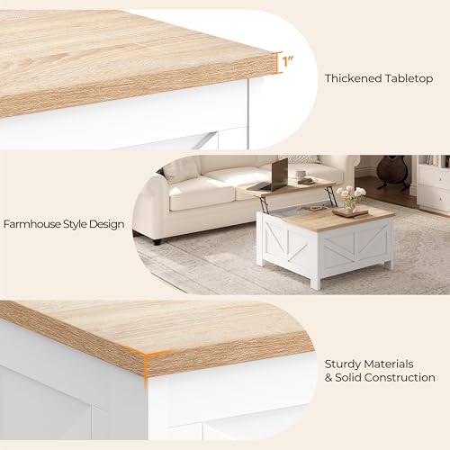 Lift Top Coffee Table with Storage, Black & Gray F341