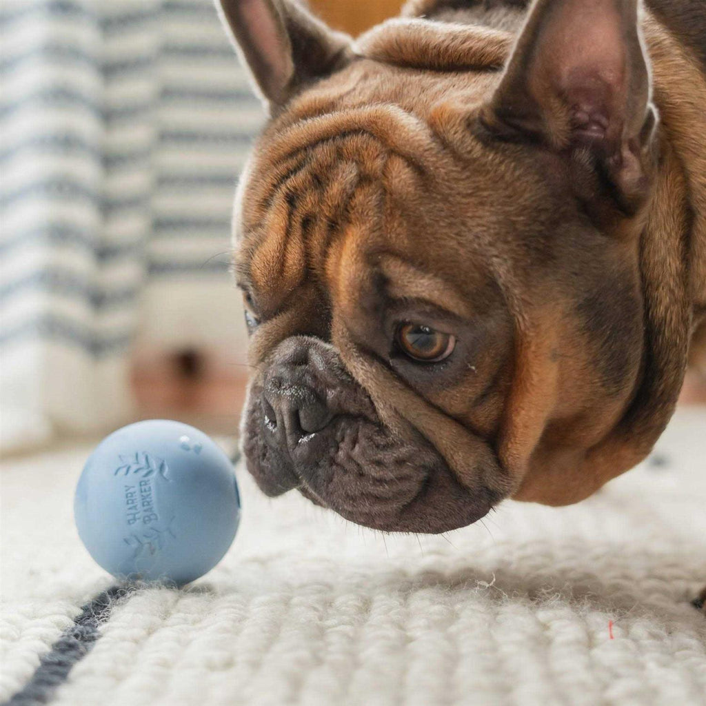 Rubber Balls and Rubber Chew Stick L360482