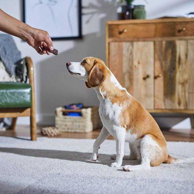 Chicken Recipe Dog Treats D33041