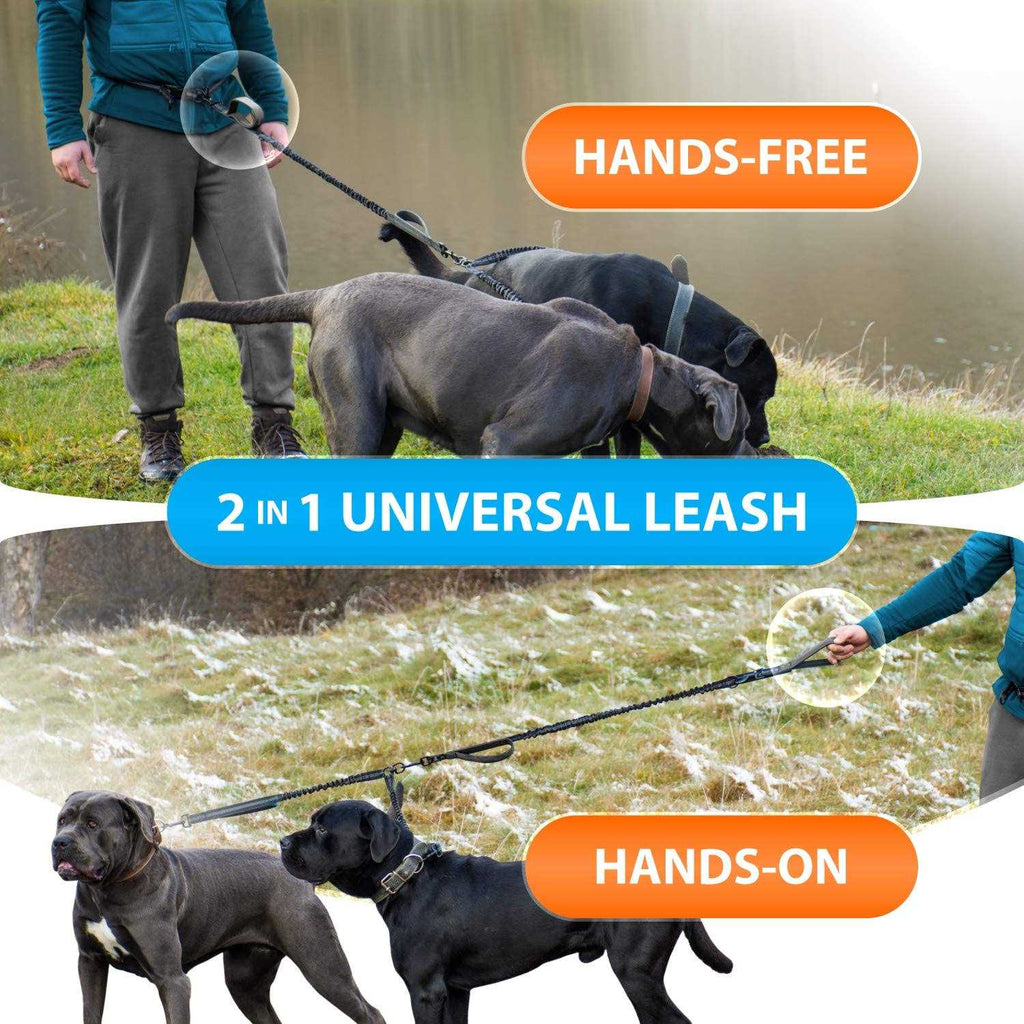 Hands Free Double Dog Leash D8226