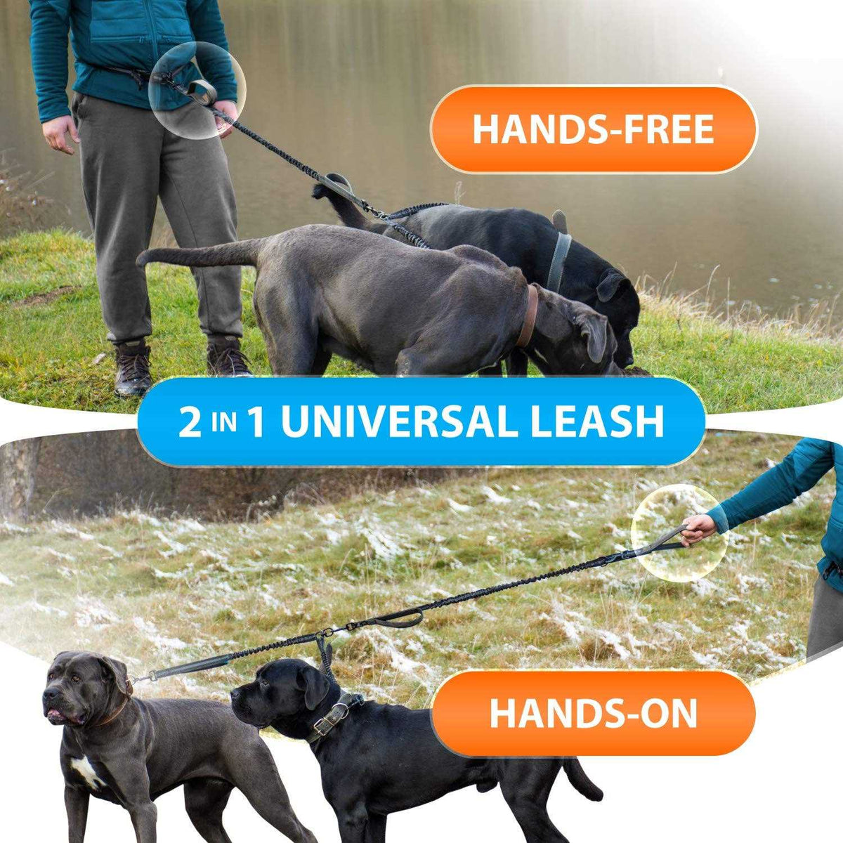 Hands Free Double Dog Leash D8226