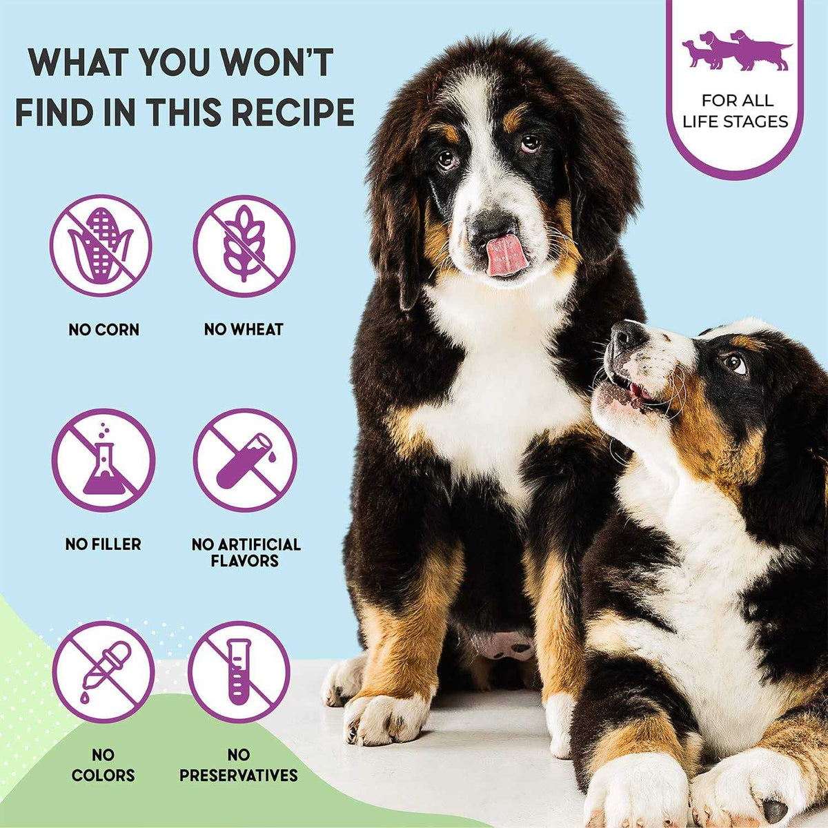Chicken Brown Rice Dry Dog Food A868305