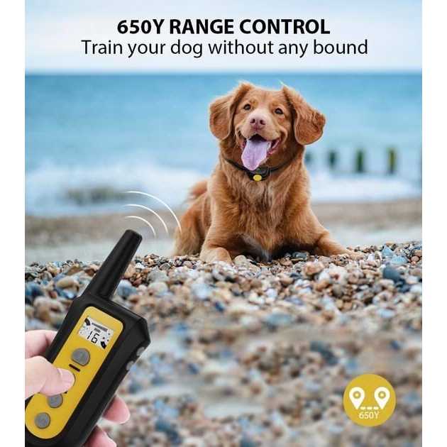 Remote Dog Training Shock Collar K628118