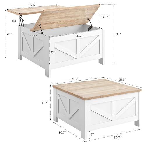 Lift Top Coffee Table with Storage, Black & Gray F341