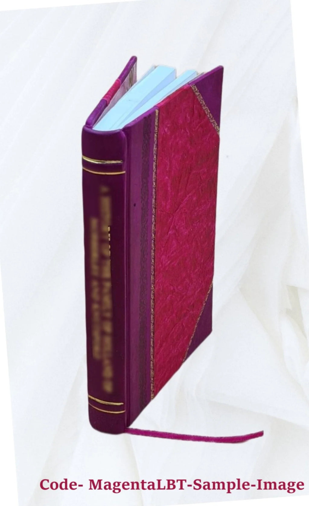 Snake River and lower Salmon River Idaho Leather Bound N720444