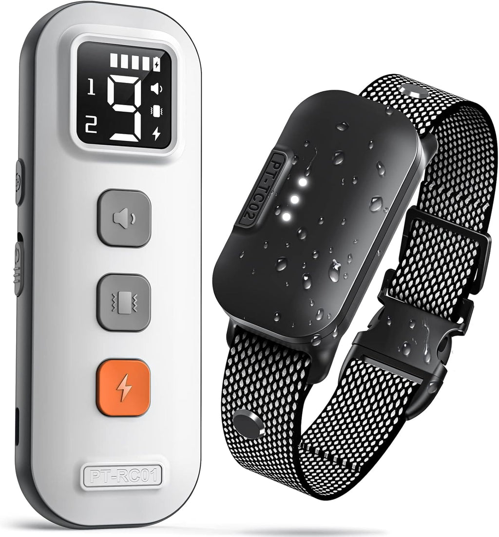 Waterproof Dog Training Collar with Remote, Pack of 2 L68923