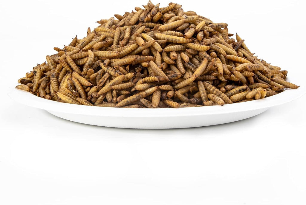 11LBS Dried Black Soldier Fly Larvae Treats Pack of 2 H439