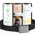 Smart Collar Kit R3093