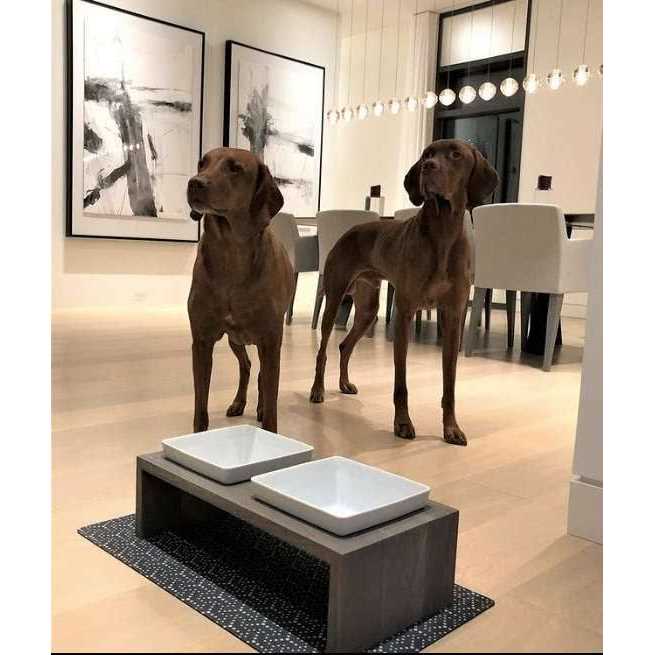 Double Dog Feeder L24677