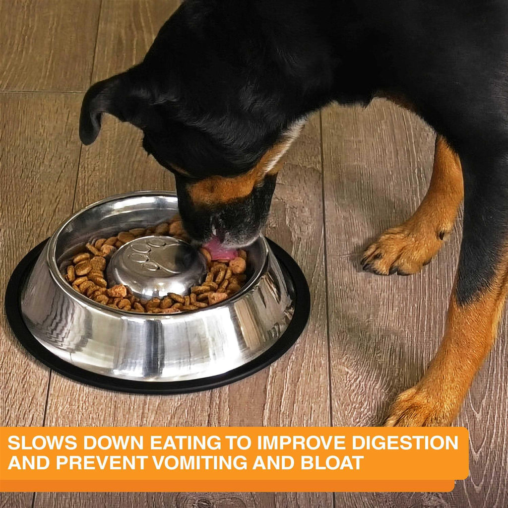 Stainless Steel Slow Feed Bowl K2974