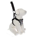 Dog Travel Harness J770571