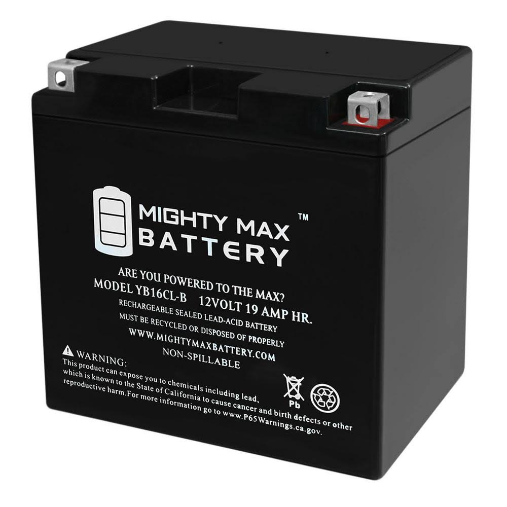 12-Volt 19 Ah 250 CCA Rechargeable Sealed Battery X24168