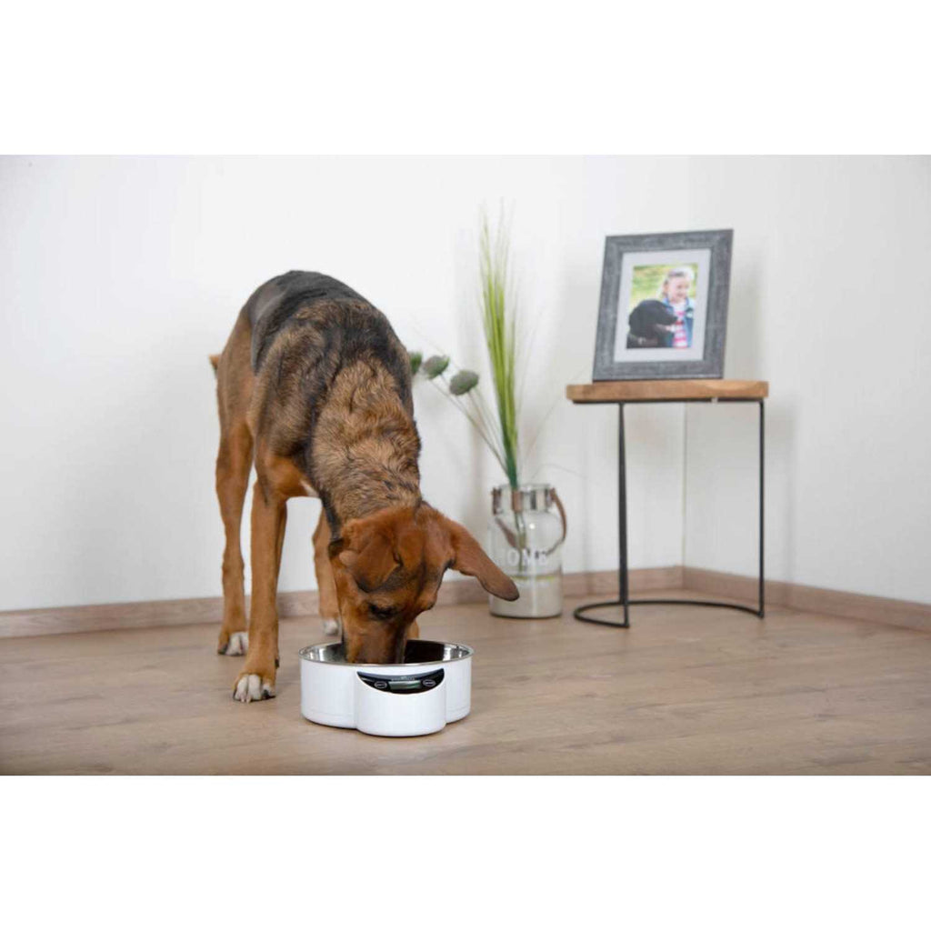 Intelligent Pet Bowl K62640