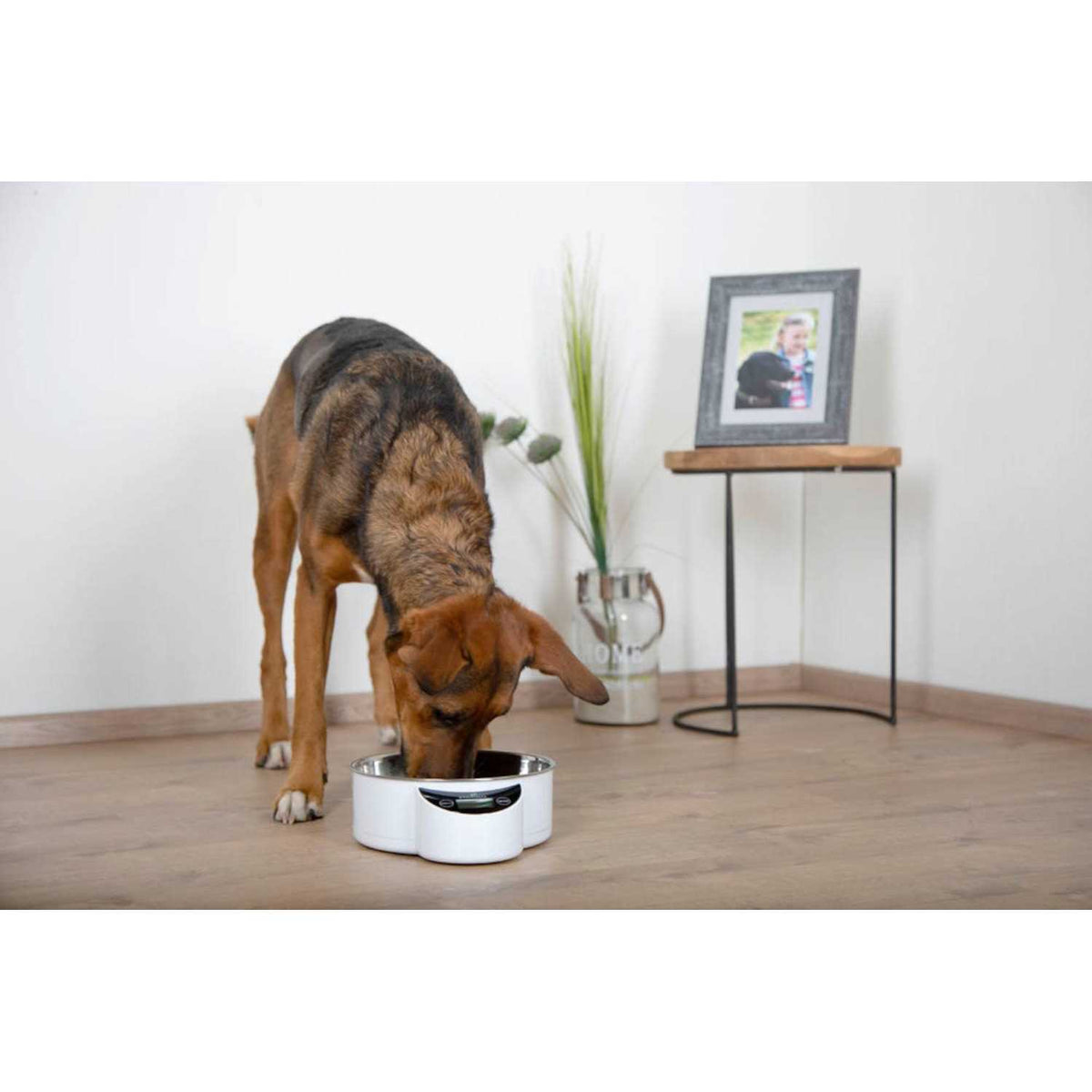 Intelligent Pet Bowl K62640